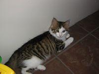 july08 007.jpg
