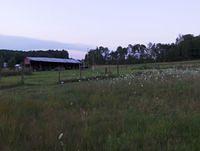 HPIM0427.JPG
