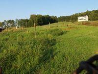 aug08 018.jpg