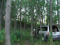 DSCF2310.JPG