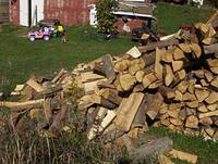 october2008 019.JPG