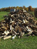 october2008 021.JPG