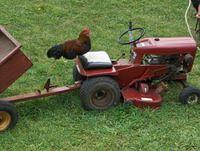 November2008 002.JPG