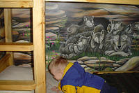 DSC00009