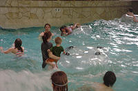 DSC00084.jpg