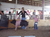 aug06 012.jpg