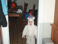 Picture 010
