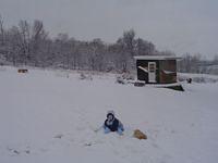 Nov. 07 II 007.jpg
