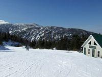 smuggs08 004.jpg