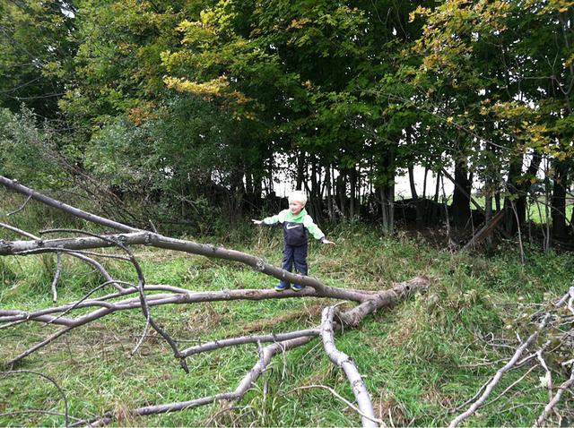20111006-1545-iPhone_003.jpg