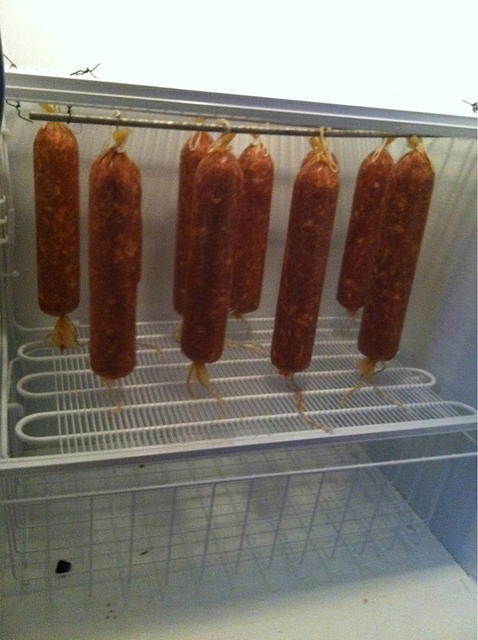 20110329-0852-iPhone.jpg