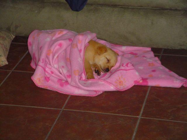 bailey_cider 001.jpg