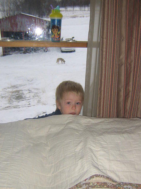feb2009 005.JPG