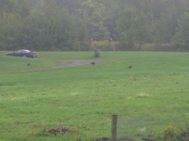 September08 073.JPG