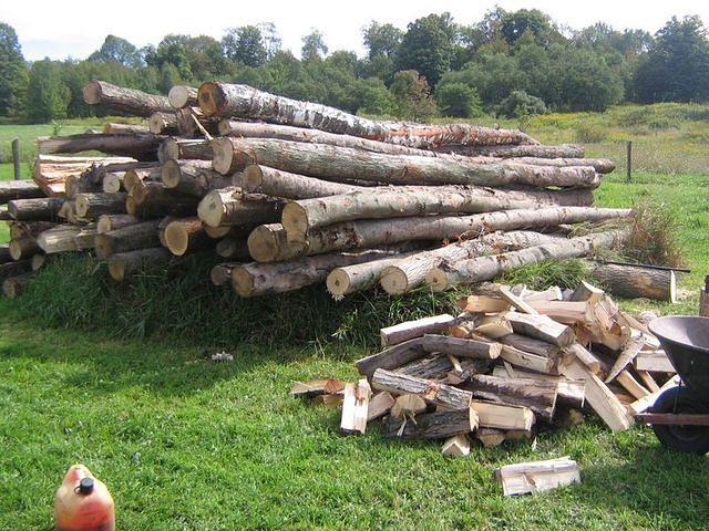 September08 083.JPG