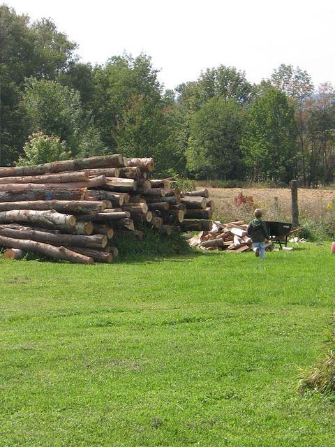 September08 090.JPG