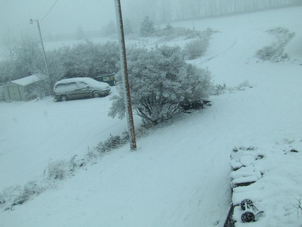 NovemberII2008 013.JPG