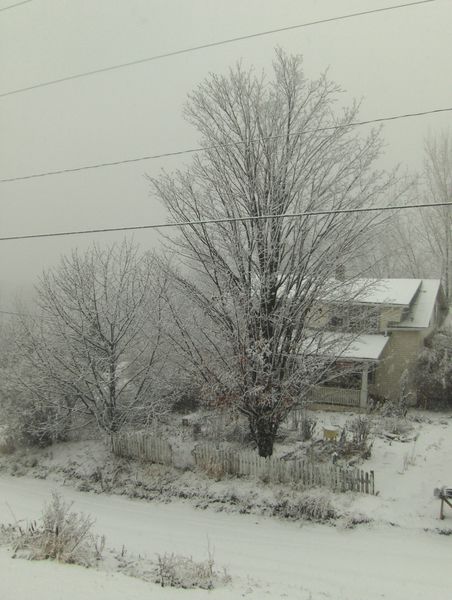 NovemberII2008 014.JPG