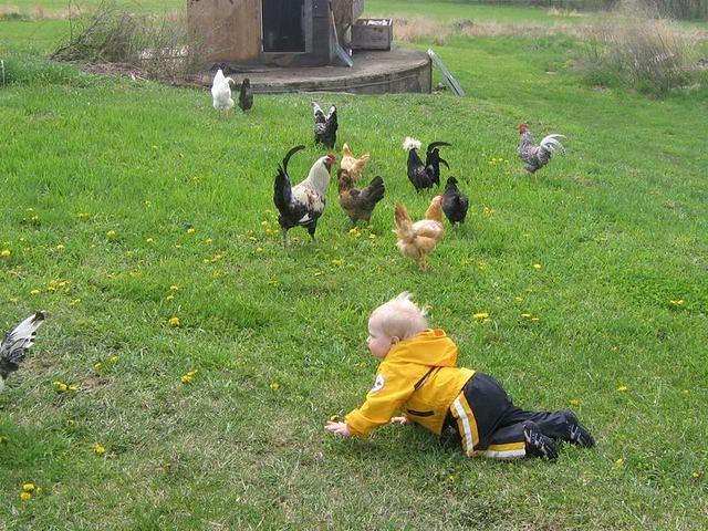 april_june08 262.jpg