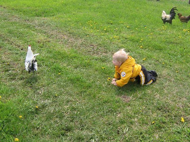 april_june08 263.jpg