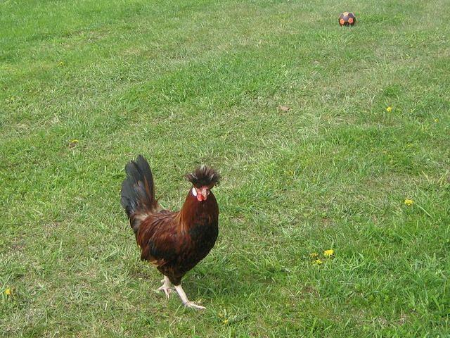 april_june08 265.jpg