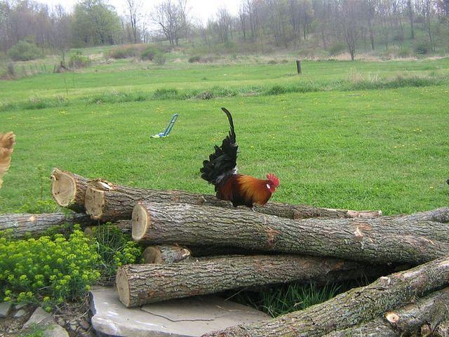 april_june08 304.jpg