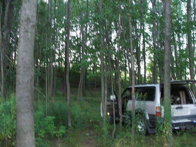 DSCF2310.JPG