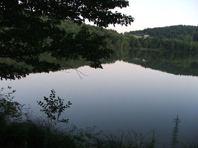 DSCF2312.JPG