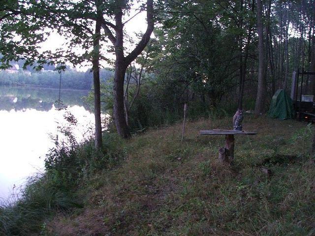 DSCF2316.JPG