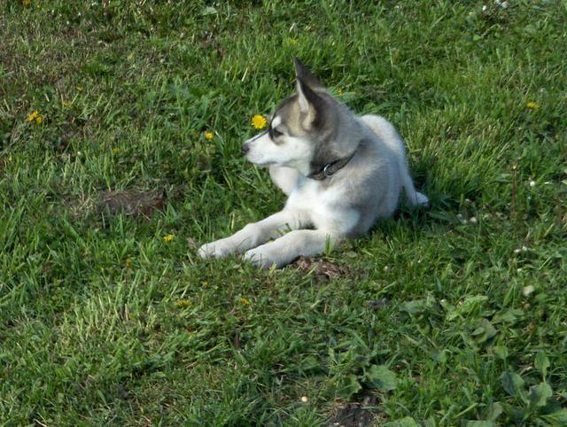 mayII2009 053.JPG