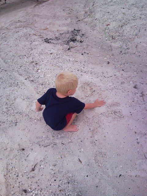 florida2010 029.jpg
