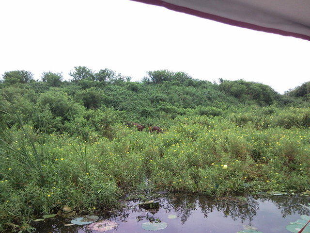 florida2010 051.jpg