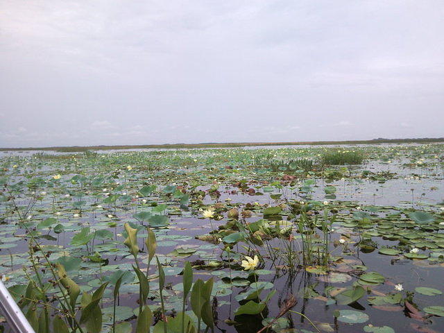 florida2010 052.jpg