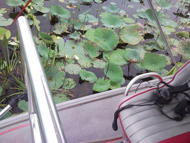 florida2010 054.jpg