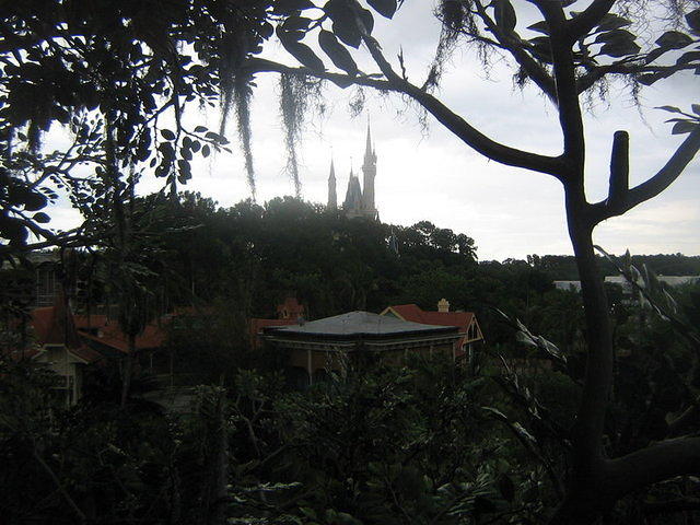 floridaII 062.JPG
