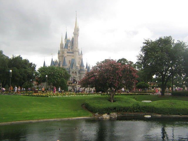 floridaII 066.JPG
