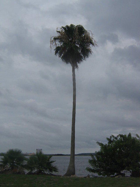 floridaII 117.JPG