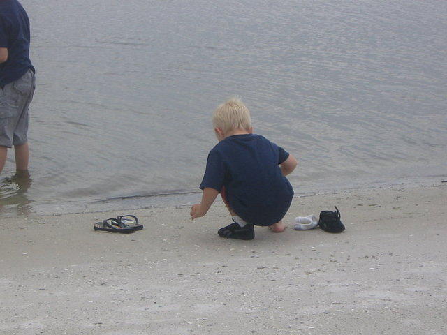 floridaII 121.JPG