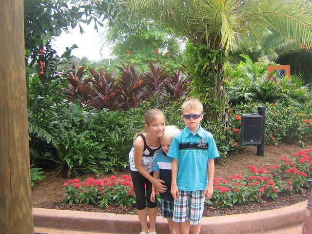 floridaII 127.JPG