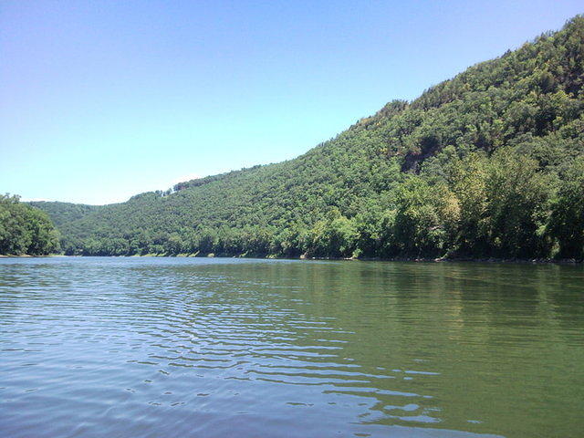 julyII2010 078.jpg