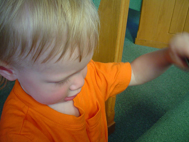 DSC00101.jpg
