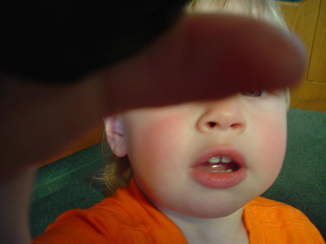 DSC00102.jpg