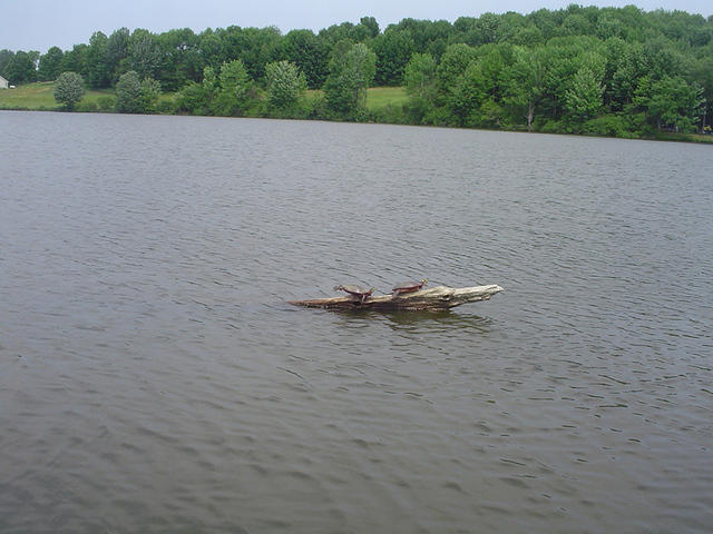 DSC00112.jpg