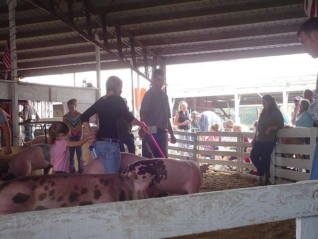 aug06 023.jpg