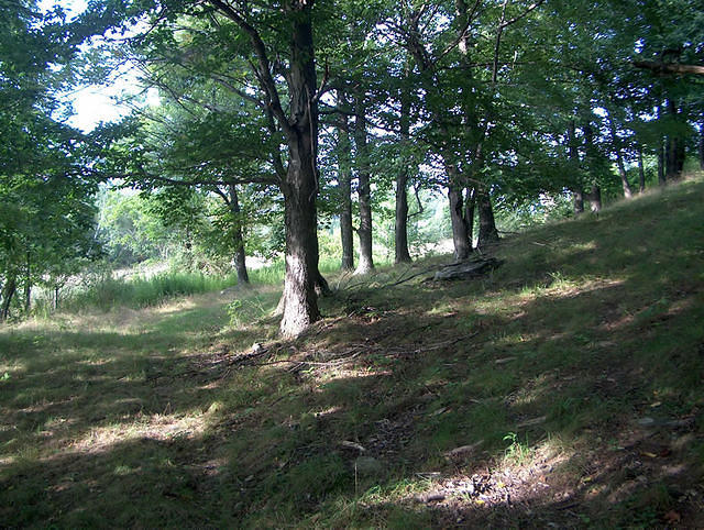 quackland 015