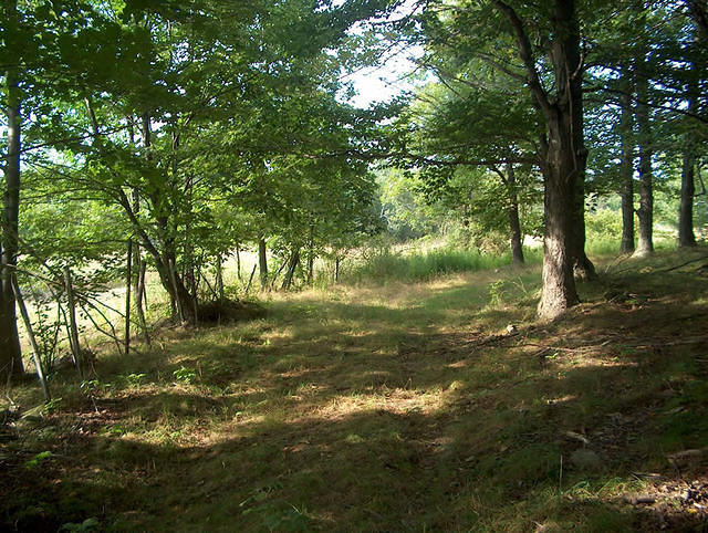 quackland 016