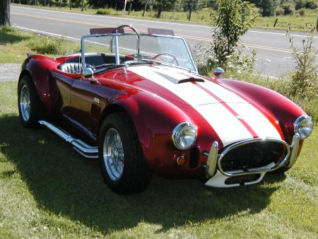cobra2