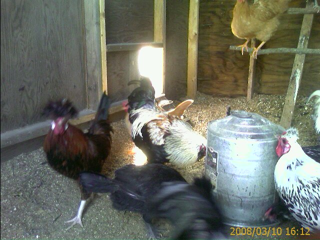 IMAGE_00016.jpg