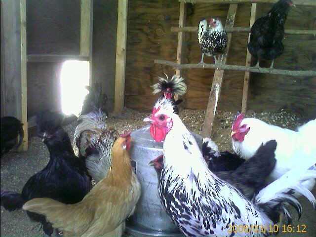 IMAGE_00017.jpg