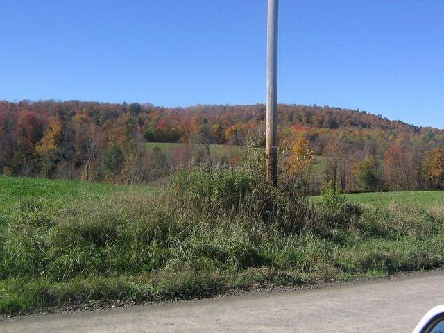 Big Meadow from Road